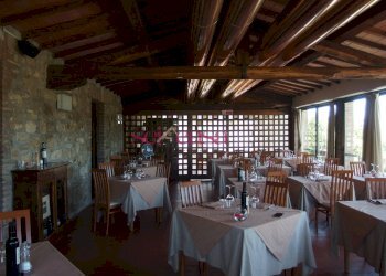 Commercial Activity Scansano - photo 9