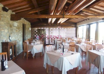 Commercial Activity Scansano - photo 10