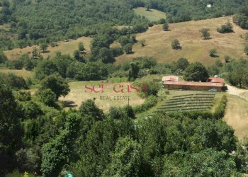 Commercial Activity Scansano - photo 11