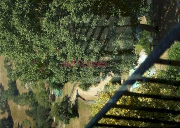 Commercial Activity Scansano - photo 12