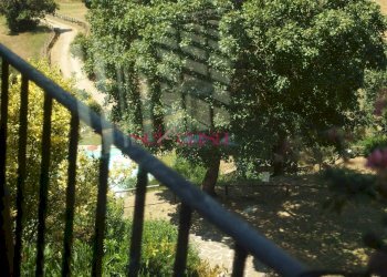 Commercial Activity Scansano - photo 13