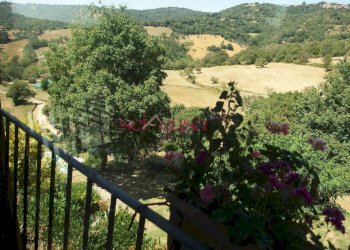 Commercial Activity Scansano - photo 14