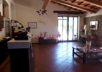 Commercial Activity Scansano - photo 21