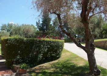 Commercial Activity Scansano - photo 24