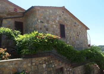 Commercial Activity Scansano - photo 27