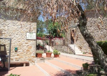 Commercial Activity Scansano - photo 28