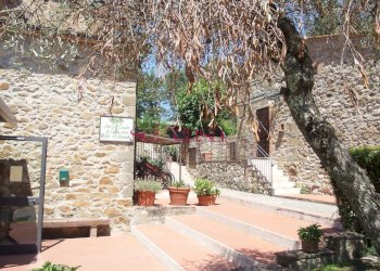 Commercial Activity Scansano - photo 29