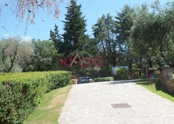 Commercial Activity Scansano - photo 30