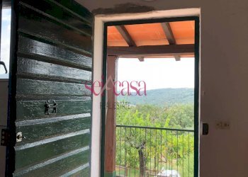 Trilocale Campagnatico - foto 2