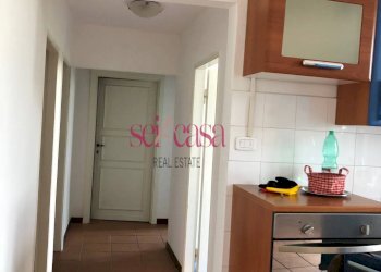 Trilocale Campagnatico - foto 4