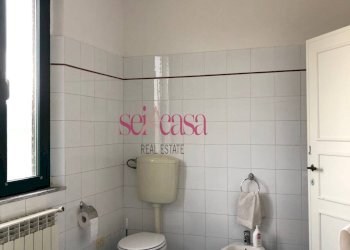 Trilocale Campagnatico - foto 11