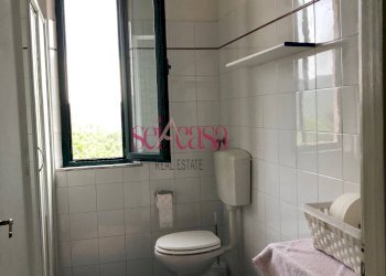 Trilocale Campagnatico - foto 12