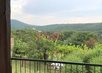 Trilocale Campagnatico - foto 14