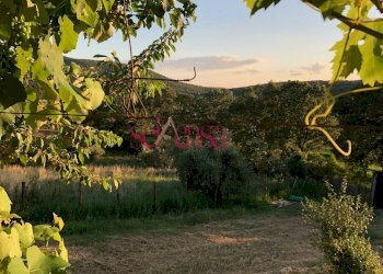 Trilocale Campagnatico - foto 15