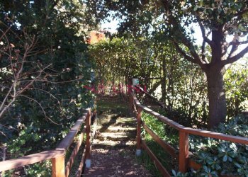 Rustico Grosseto - foto 23