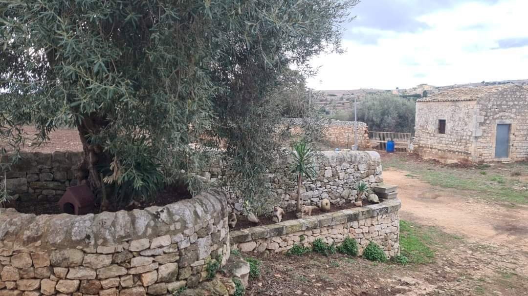 PHOTO-2024-08-02-12-36-54.jpg - Rustico vanella 74, Modica - foto 3