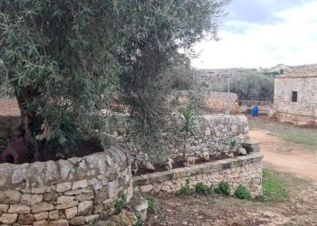 PHOTO-2024-08-02-12-36-54.jpg - Rustico vanella 74, Modica - foto 3