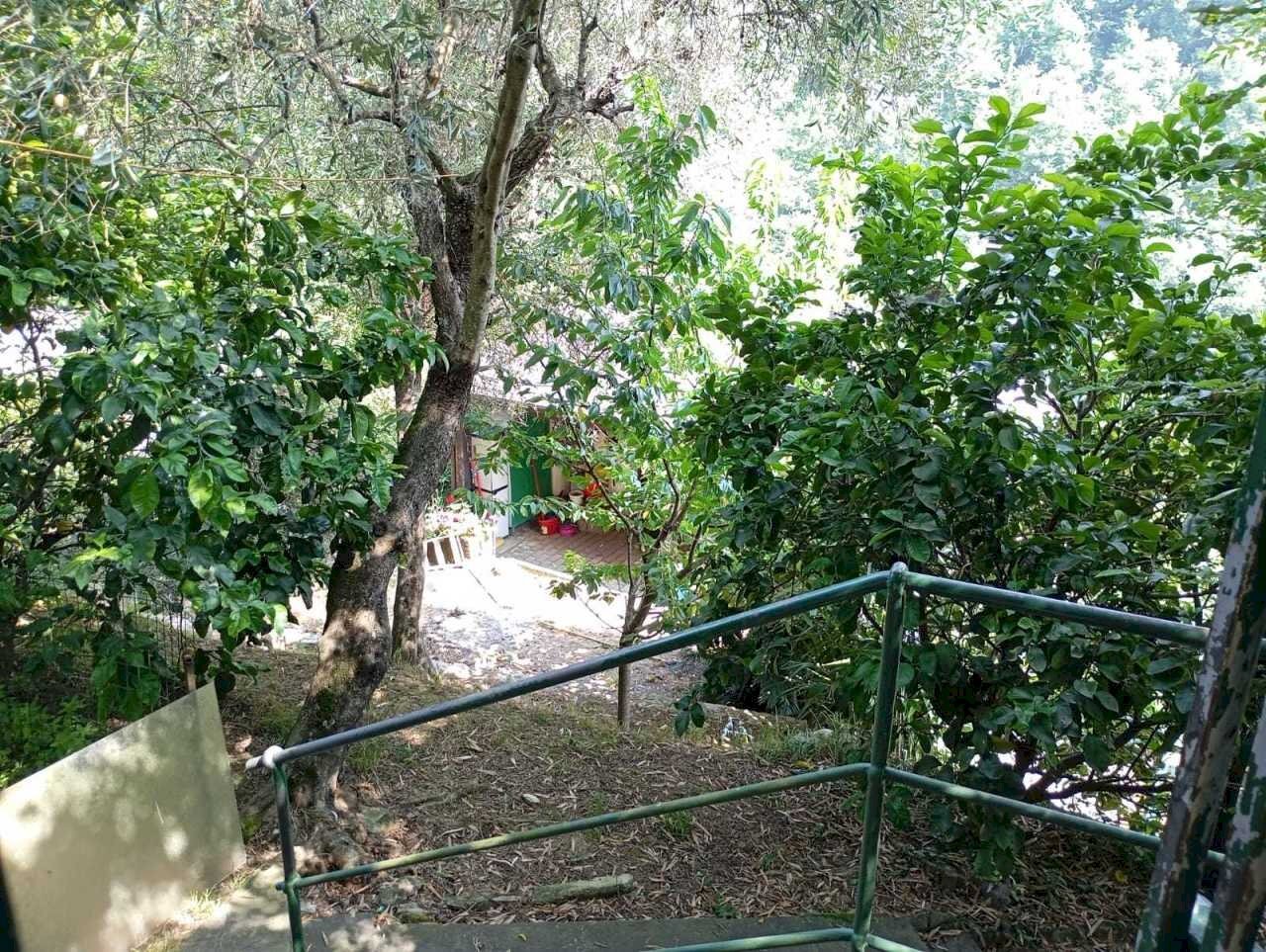 WhatsApp Image 2025-06-12 at 21.58.14.jpeg - Independent house Via Tonnego 17, Rapallo - photo 1