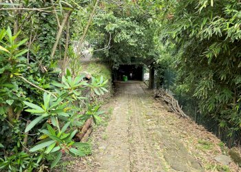 20240701_152503.jpg - Casa indipendente Via Tonnego 17, Rapallo - foto 11