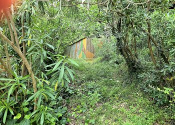 20240701_152600.jpg - Casa indipendente Via Tonnego 17, Rapallo - foto 23