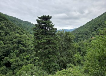 20240701_153129.jpg - Casa indipendente Via Tonnego 17, Rapallo - foto 27