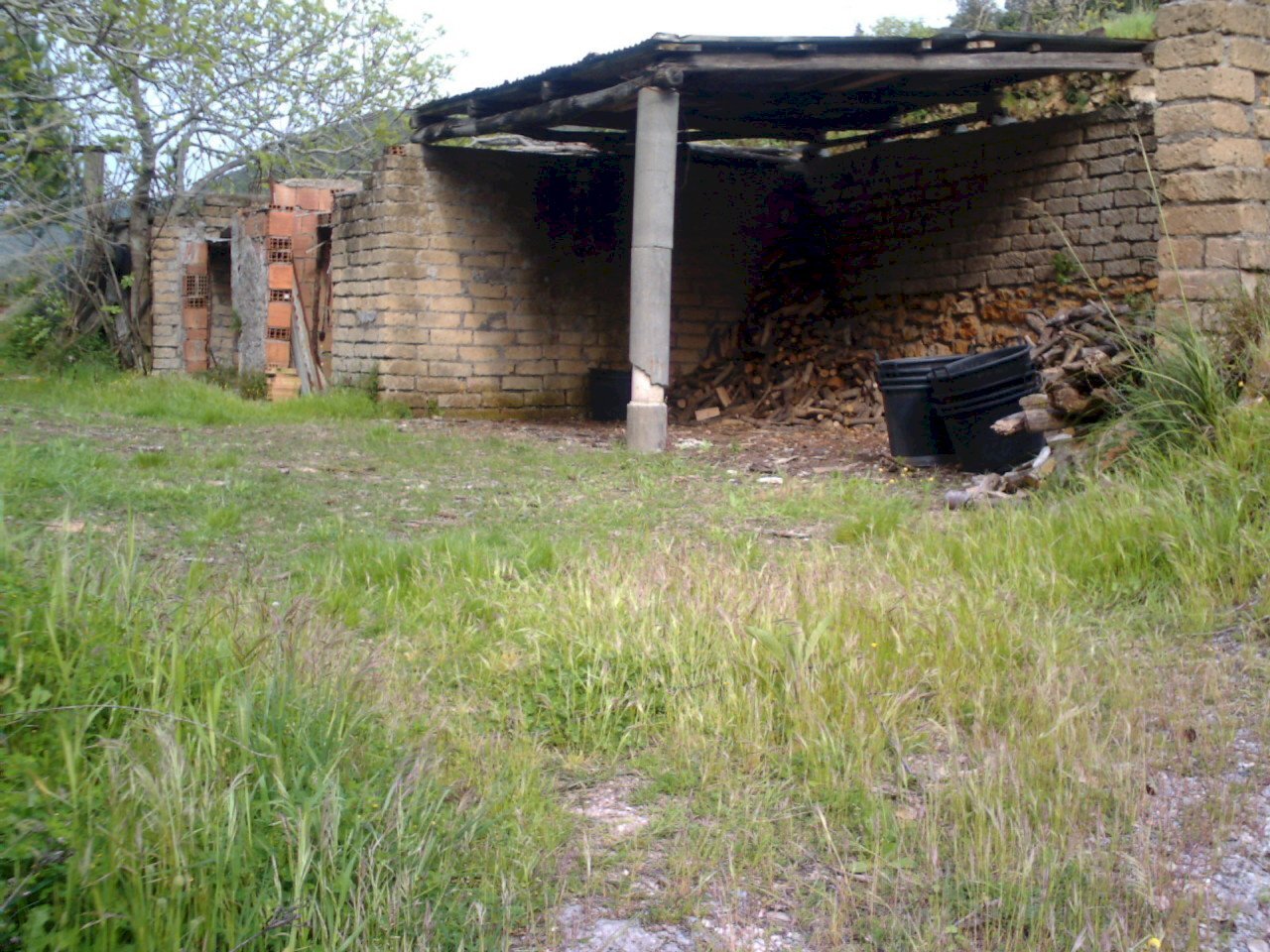 IMAG0187.JPG - Rustico Monte Argentario - foto 2