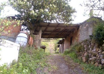 IMAG0190.JPG - Rustico Monte Argentario - foto 1