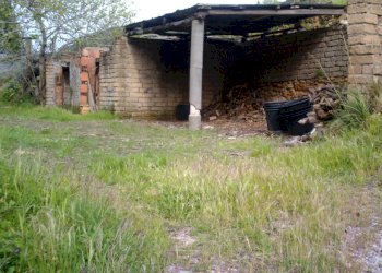 IMAG0187.JPG - Rustico Monte Argentario - foto 2