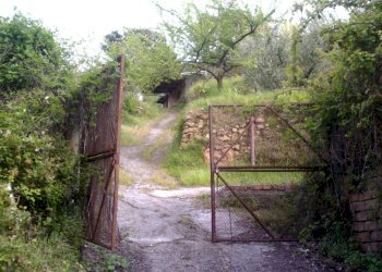 IMAG0185.JPG - Rustico Monte Argentario - foto 4