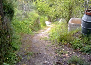 IMAG0193.JPG - Rustico Monte Argentario - foto 9