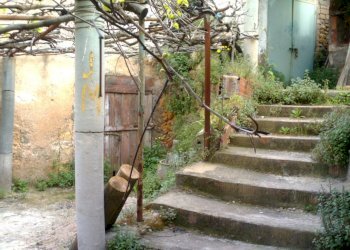 IMAG0197.JPG - Rustico Monte Argentario - foto 10