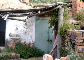 IMAG0199.JPG - Rustico Monte Argentario - foto 12