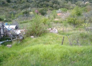 IMAG0205.JPG - Rustico Monte Argentario - foto 14