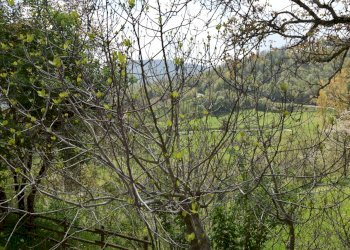 81399.jpg - Terratetto - Terracielo Piazza Montefeltro 1, Pennabilli - foto 7