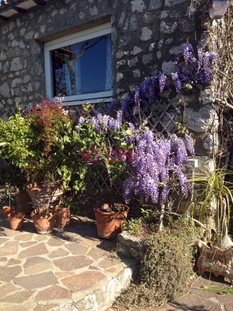 Villa Unifamiliare Orbetello - foto 2