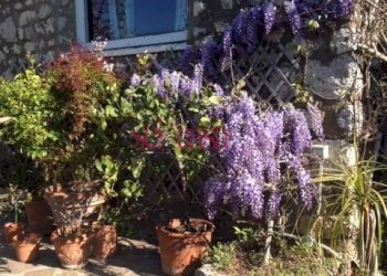 Villa Unifamiliare Orbetello - foto 2