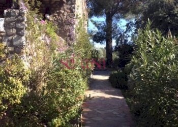 Villa Unifamiliare Orbetello - foto 3