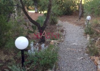 Villa Unifamiliare Orbetello - foto 7