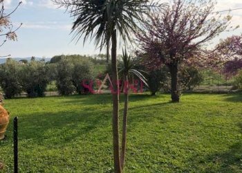 Rustico Magliano in Toscana - foto 2