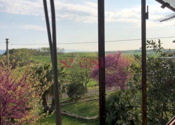 Rustico Magliano in Toscana - foto 4