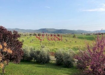 Rustico Magliano in Toscana - foto 5