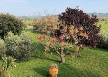 Rustico Magliano in Toscana - foto 6