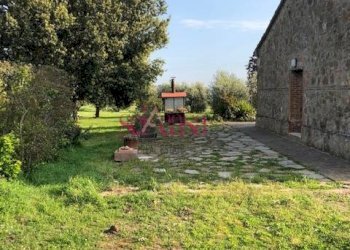 Rustico Magliano in Toscana - foto 16