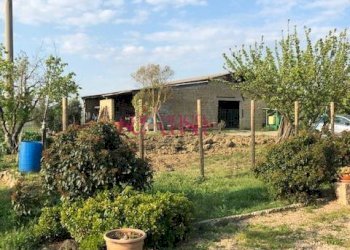 Rustico Magliano in Toscana - foto 19