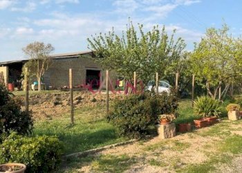 Rustico Magliano in Toscana - foto 20