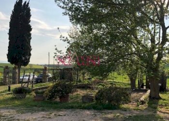 Rustico Magliano in Toscana - foto 21