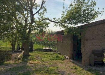 Rustico Magliano in Toscana - foto 22