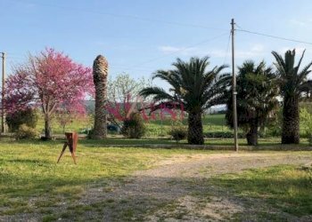 Rustico Magliano in Toscana - foto 23