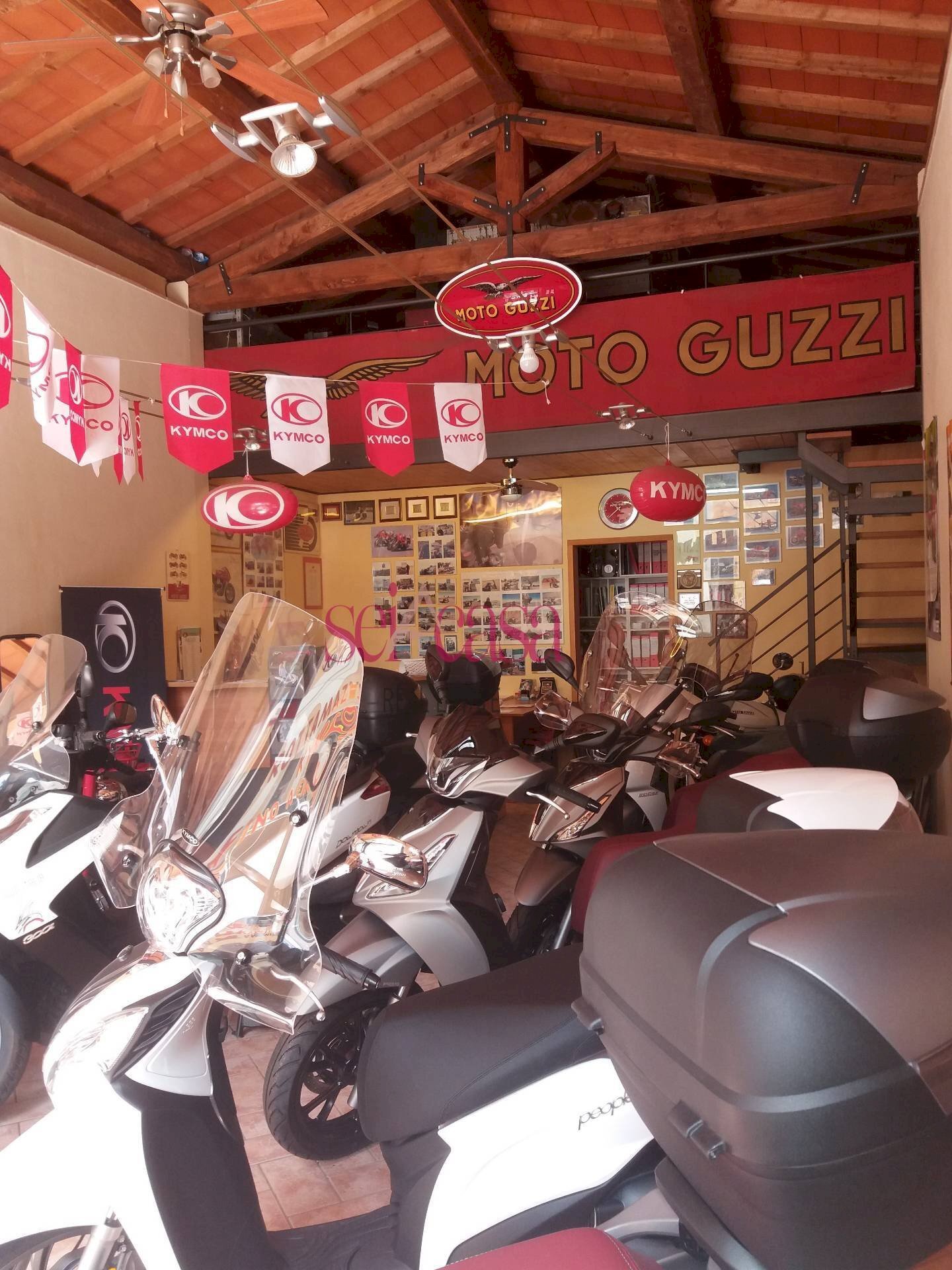 Locale Commerciale Grosseto - foto 1