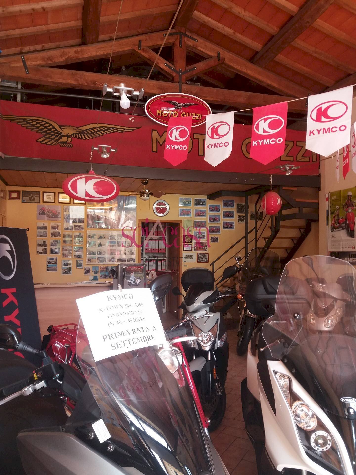 Locale Commerciale Grosseto - foto 3